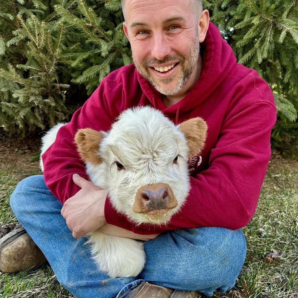 Ellie | Chondro Positive Miniature Highland Heifer Calf