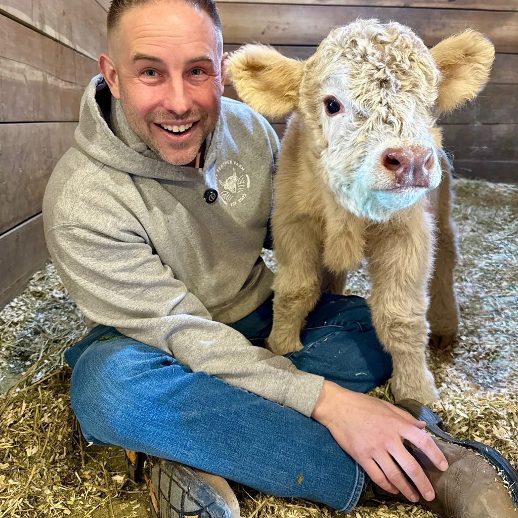 Sawyer | Miniature Highland Bull Calf