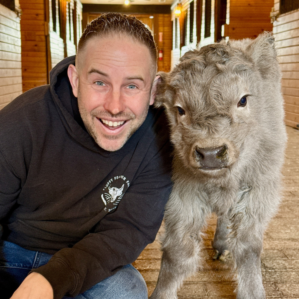 Wyatt – Chondro Negative Miniature Highland Bull Calf